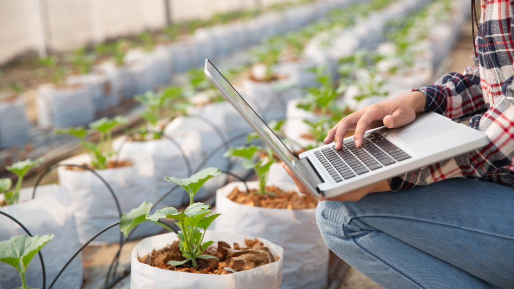 Reformar Tributária para o Agro